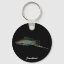 Search for livebearers Fish