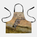 Search for catching aprons For kids