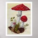 Search for toadstools posters Watercolor