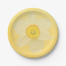 Search for daffodil plates Birthday