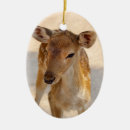 Search for fawn christmas tree decorations Wildlife
