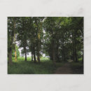 Search for parkland postcards Woods