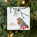 Search for red bird christmas tree decorations Robin