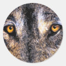 Search for wolf eyes stickers Dog