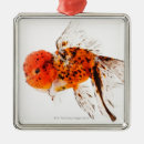 Search for goldfish christmas tree decorations Animal
