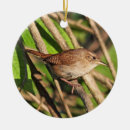 Search for wren christmas tree decorations Wildlife