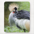 Search for cranes mousepads Nature