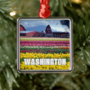 Search for north christmas tree decorations Nature