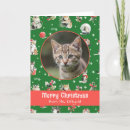 Search for feline christmas cards Watercolor