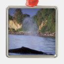 Search for orca christmas tree decorations Coast