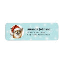 Search for chihuahua return address labels Long hair chihuahua