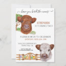 Search for herding invitations Cow