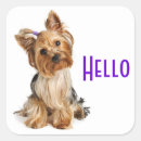 Search for yorkshire terrier stickers puppy