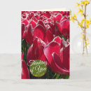 Search for tulip flower birthday cards Thinking of you