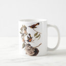 Search for audubon birds mugs Songbird