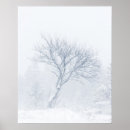 Search for during posters White