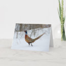Search for ring horizontal cards Snow