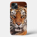 Search for sumatran cases Adam jones