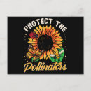 Search for pollinators postcards Sunflower