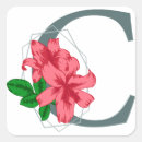Search for capital stickers Abc