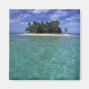 Search for isolate magnets Tropical