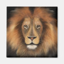 Search for realist magnets Cat