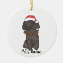 Search for poodle christmas tree decorations Black