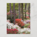 Search for georgia postcards Outdoor