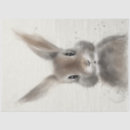 Search for bunny tissue paper Kids