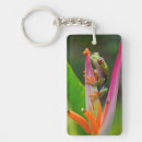 Search for red eye key rings Wildlife