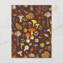 Search for wild mushrooms postcards Berries