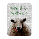 Search for suck magnets Buttercup