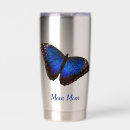 Search for morpho butterfly Beautiful