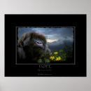Search for mountain gorillas art Rwanda