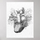 Search for vintage anatomy posters Antique