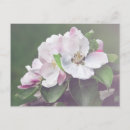 Search for shape canvas art Nature