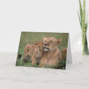 Search for folding reserved cards Kenya africa