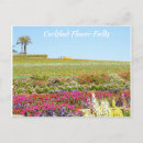 Search for carlsbad postcards Photography