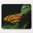 Search for dryad Black