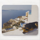 Search for house dog mousepads Horizontal