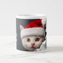 Search for kitten meme mugs Humour