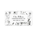 Search for chamomile Illustration