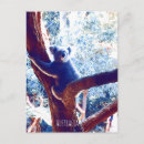 Search for australian koala postcards Green