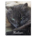 Search for cute fluffy cat notebooks Cats