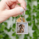 Search for dachshund key rings Domestic animals