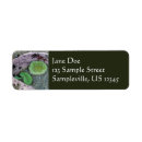 Search for pacific return address labels Nature
