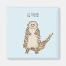 Search for weird magnets Quirky