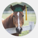 Search for gold horse stickers Green