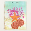 Search for shells office supplies Coral