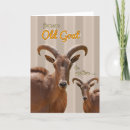Search for old goat cards Happy
